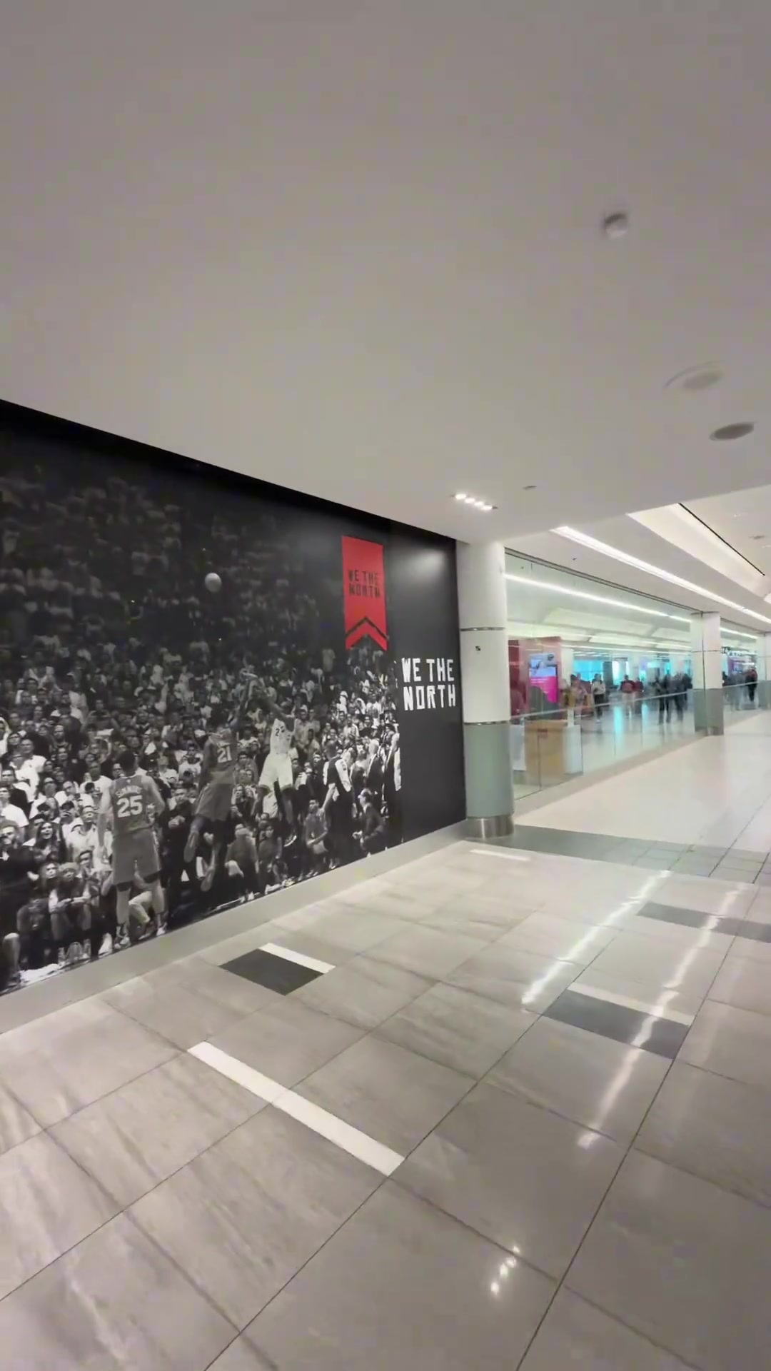 六年了多伦多的机场墙